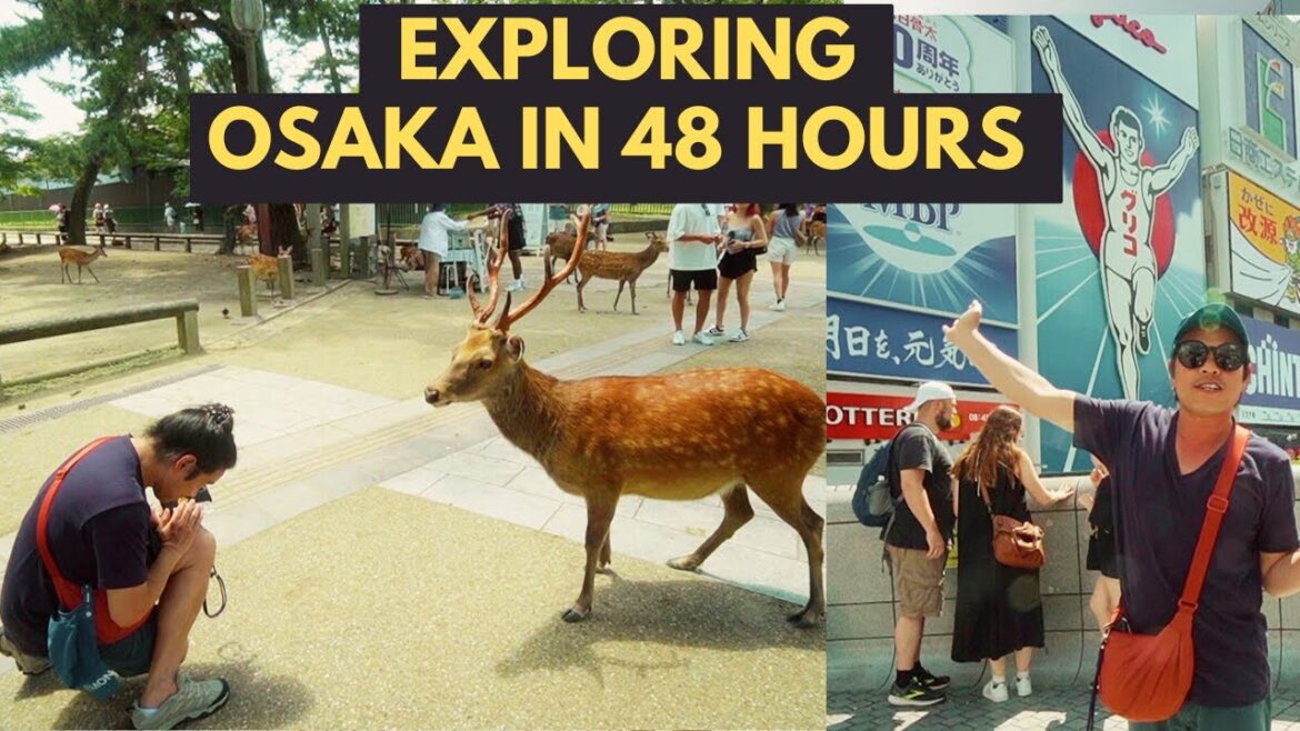 Experience OSAKA's Highlights in 48 Hours