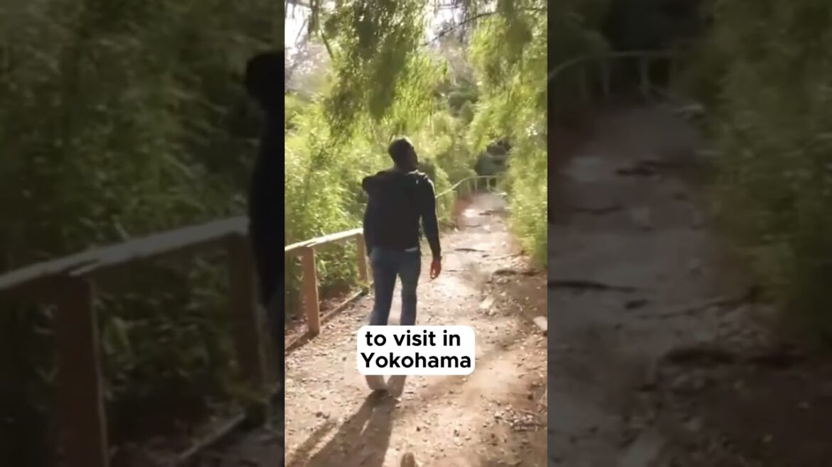 Yokohama Japan - Things to do in Yokohama Travel Vlog Tourism #shorts