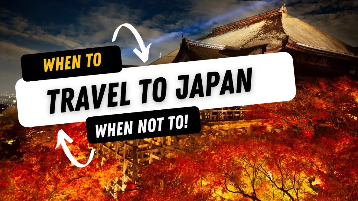 🌟When to Visit Japan: Insider Tips for the Perfect Trip Unveiled!🌟