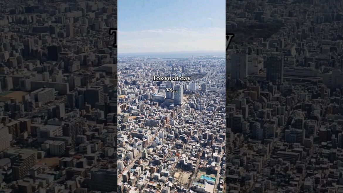 Do you really know Tokyo?⛩️❤️ #travel