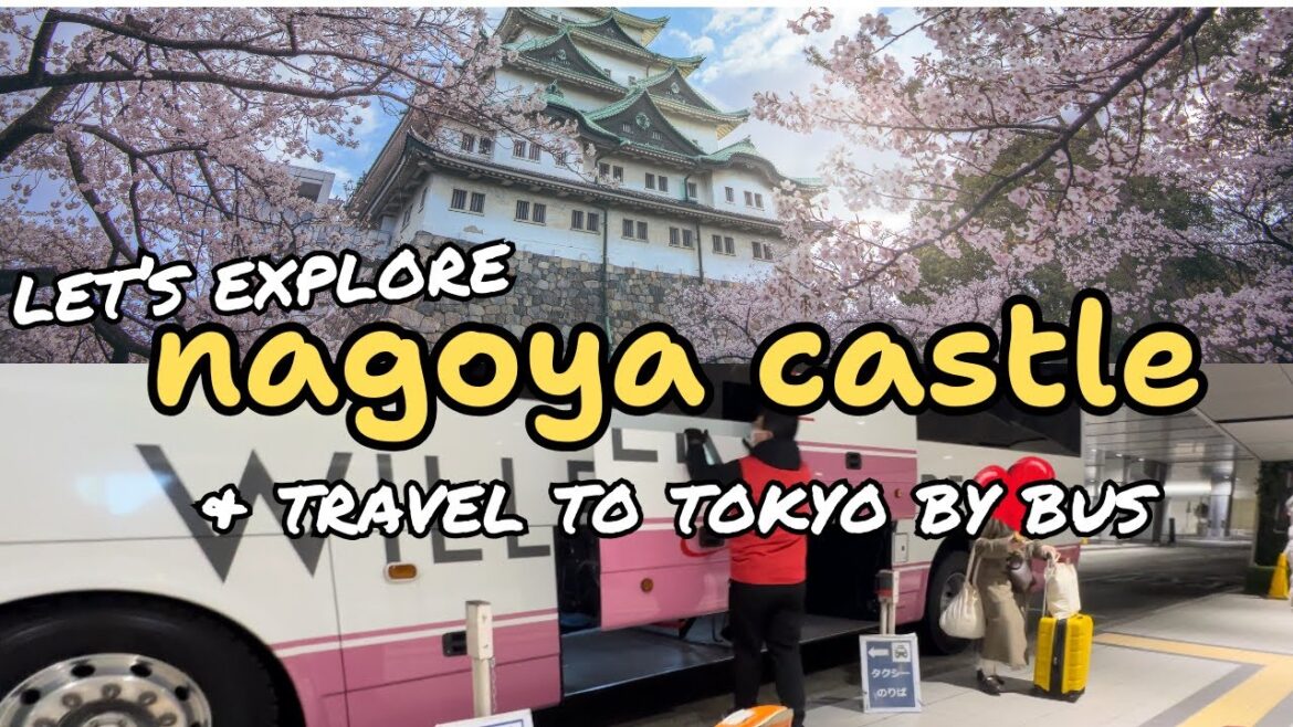 🇯🇵Last Day in Nagoya | Nagoya Castle + Cheapest Way to go to Tokyo!