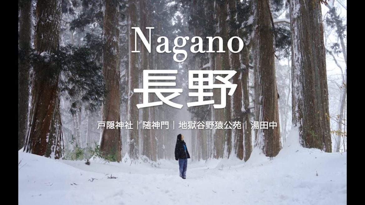 Nagano Travel Vlog | Togakushi Shrine,Exploring Snow Monkey Park| Onsen Village, ShanTrip15 Nagano Travel Vlog | Togakushi Shrine,Exploring Snow Monkey Park| Onsen Village, ShanTrip15