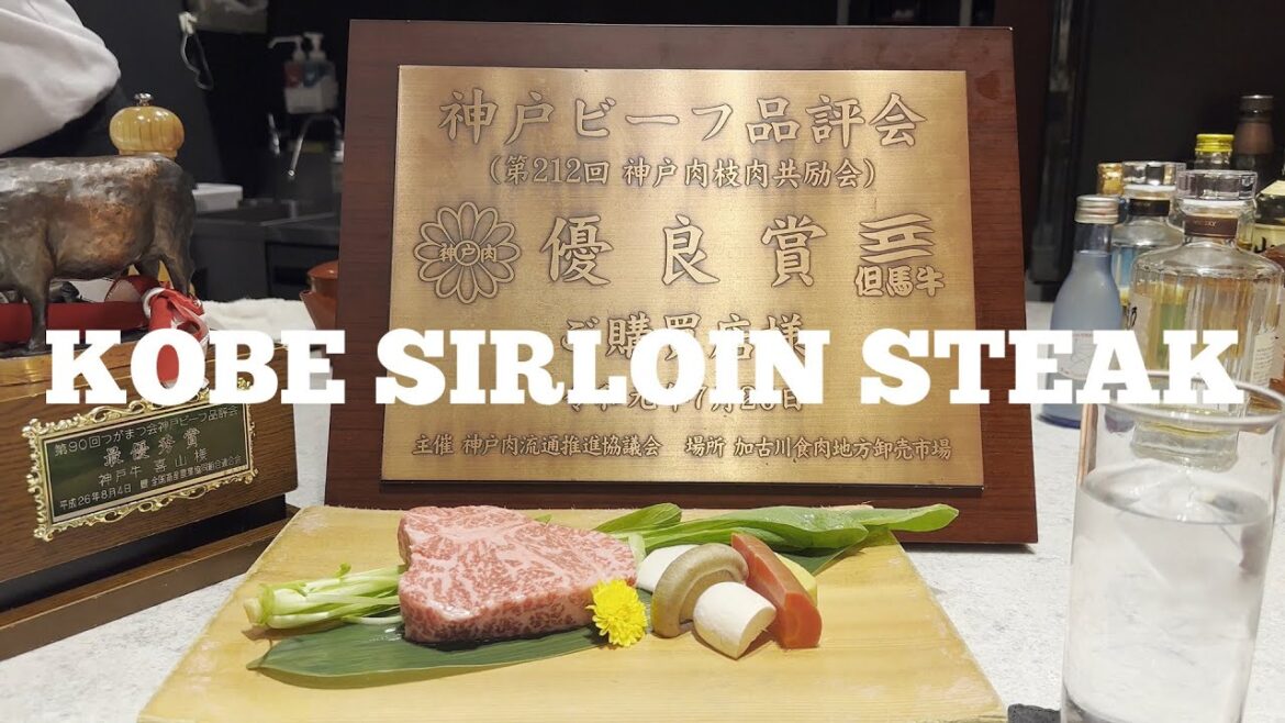 Eating World's Most Expensive and Best Beef | Japan Vlog 6