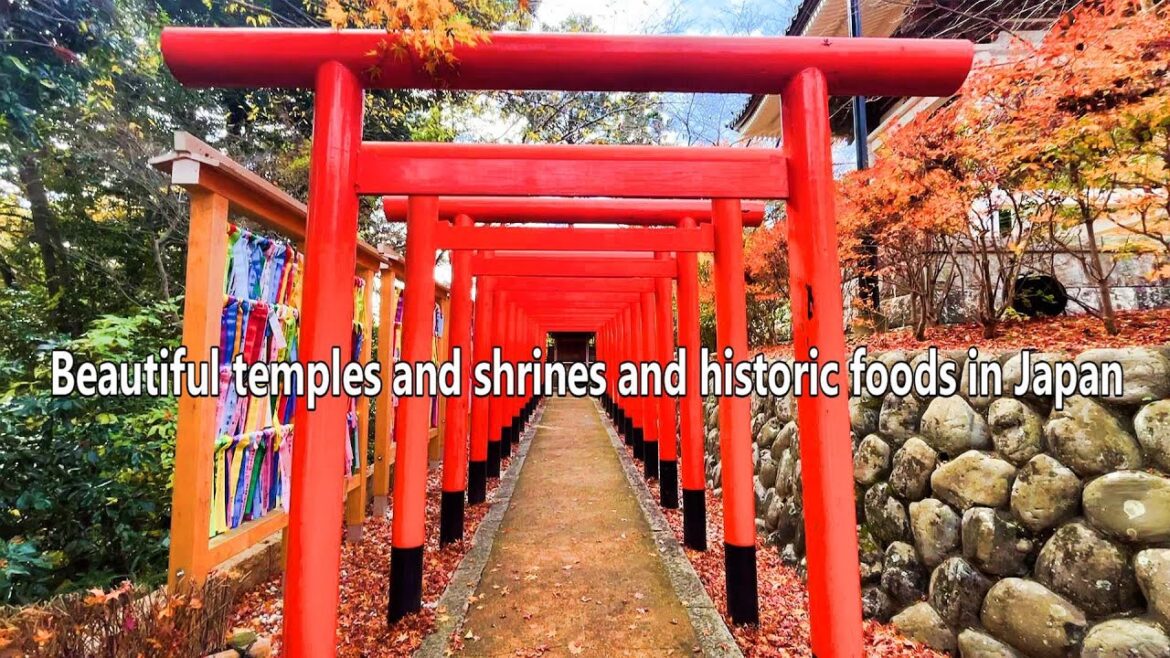 Enjoy famous Japanese shrines and local delicacies