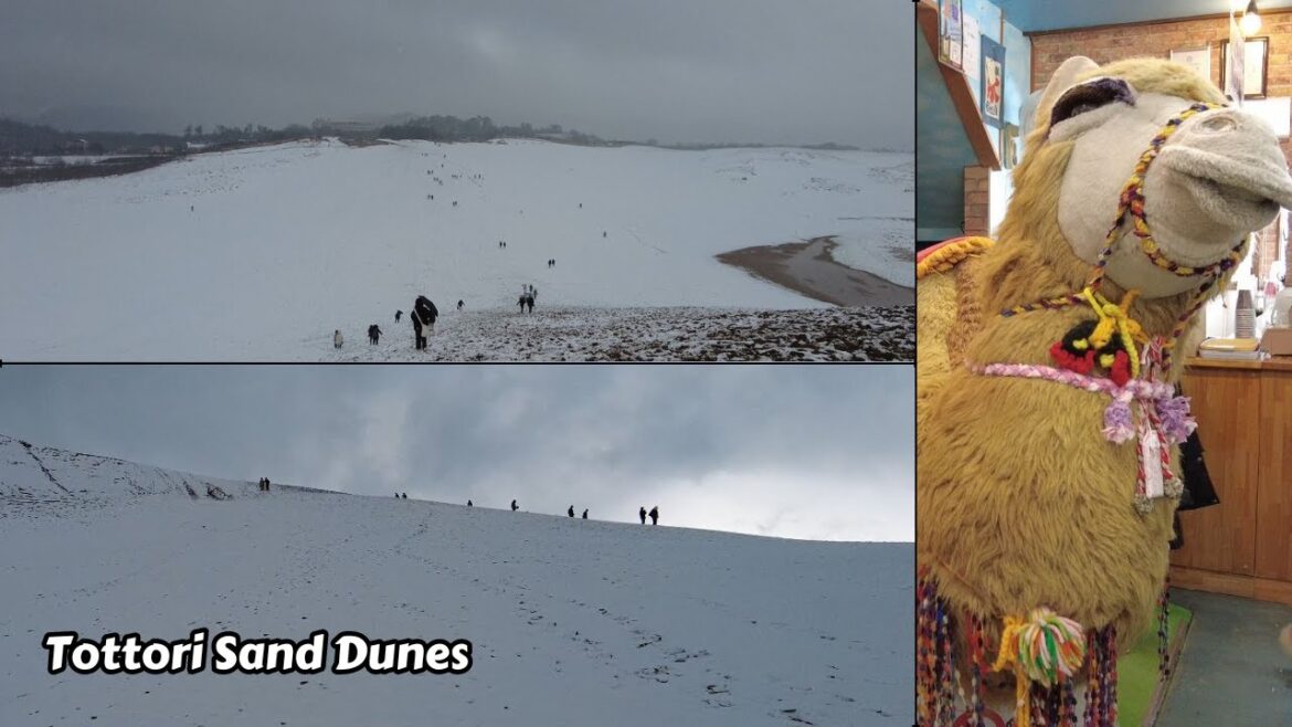 Tottori Sand Dunes, Japan's Only Desert Covered in Snow!