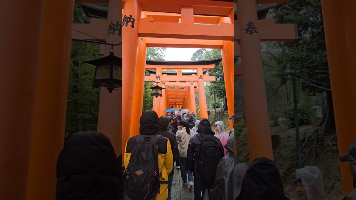What it is really like at Fushimi Inari Taisha #kyoto #Japan #travel #tourism