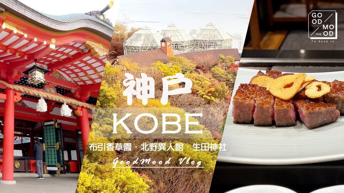 【Kobe Vlog】ep2. 慢享神戶牛排的美味ㅣ布引香草園、北野異人館輕鬆遊ㅣCanvas飯店的宵夜鬆餅ㅣ拜訪著名的生田神社 【Kobe Vlog】ep2. 慢享神戶牛排的美味ㅣ布引香草園、北野異人館輕鬆遊ㅣCanvas飯店的宵夜鬆餅ㅣ拜訪著名的生田神社