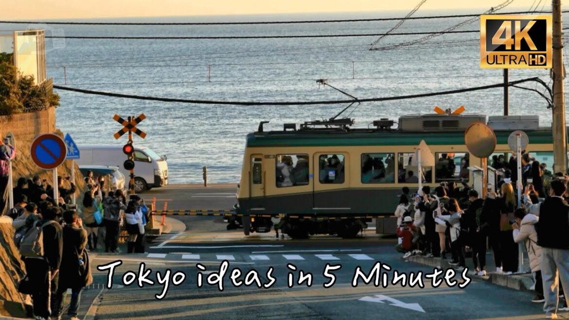Tokyo Must-see places in 5 minutes | Shibuya Sky | Toyosu Market | Sushi Dai | Enoshima | 4K