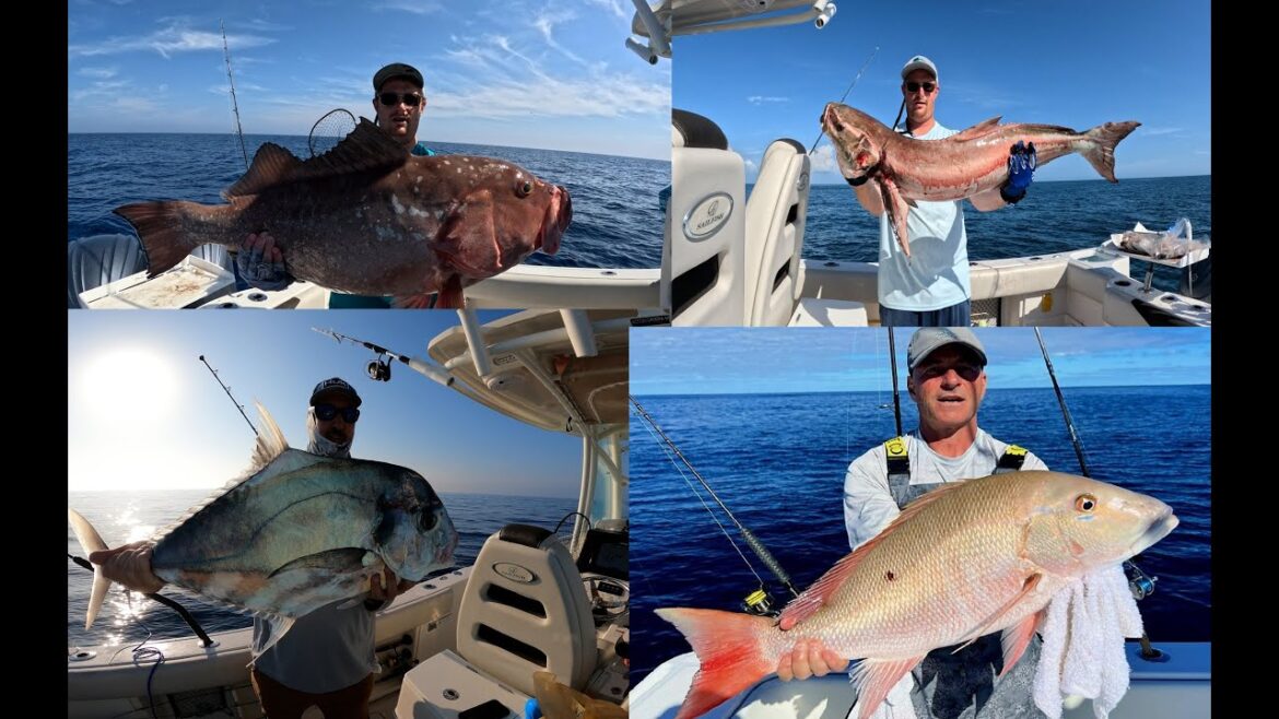 Southwest Florida Spring Offshore Fishing Report - What to Fish For and Where to Catch Them!!