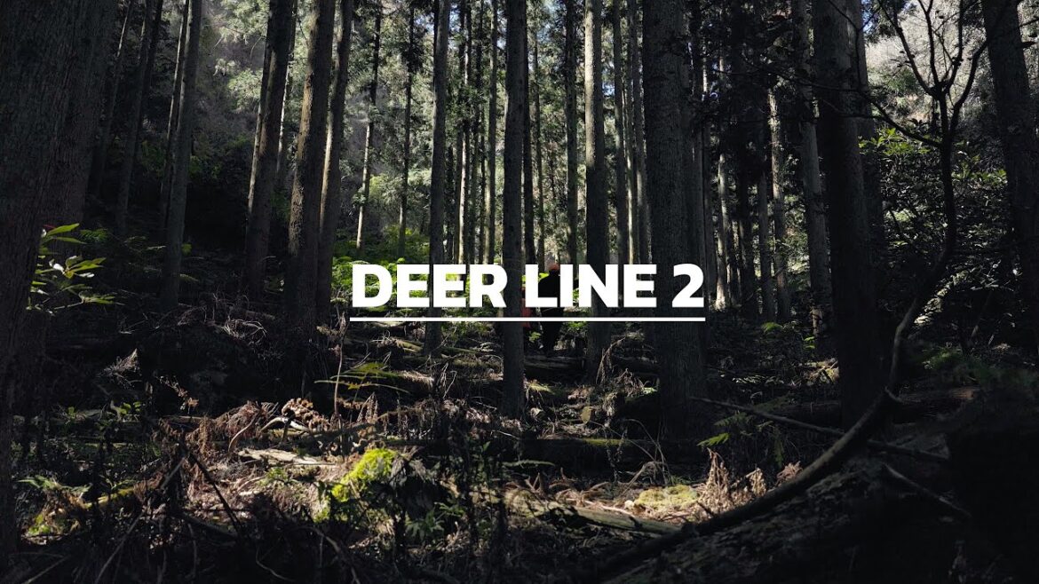 Deer Line 2 - Izu Deer Hunting - Japan - 4K