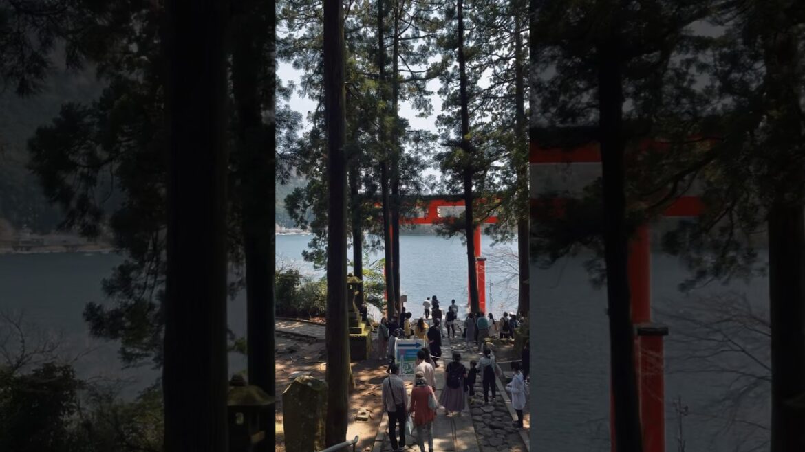 Hakone shizuoka prefecture,japan :beautiful place