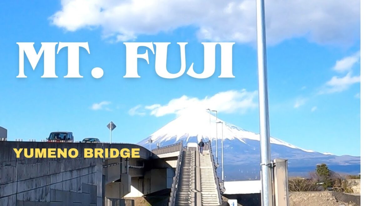 MT. FUJI [Unique Bridge, Take photos, TikTok, IG]