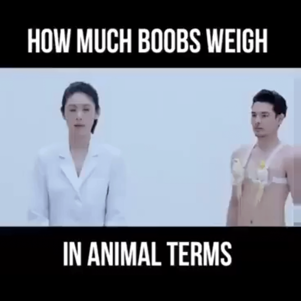 Boobs vs animals