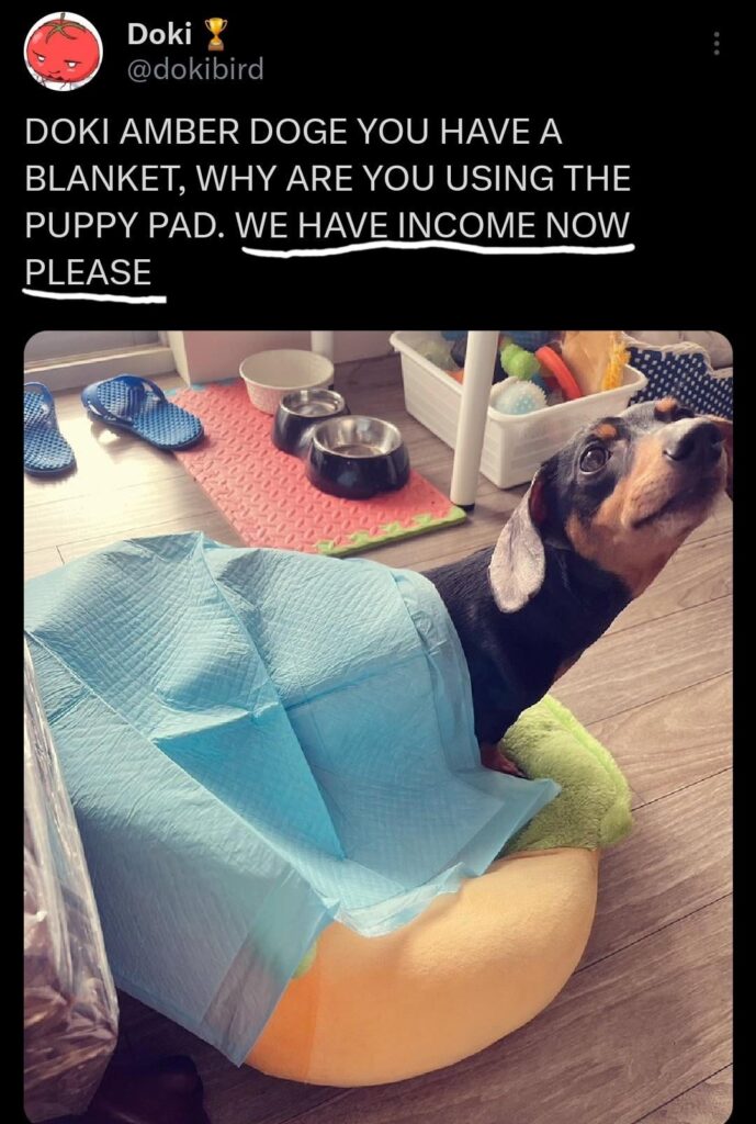 Funny, but true