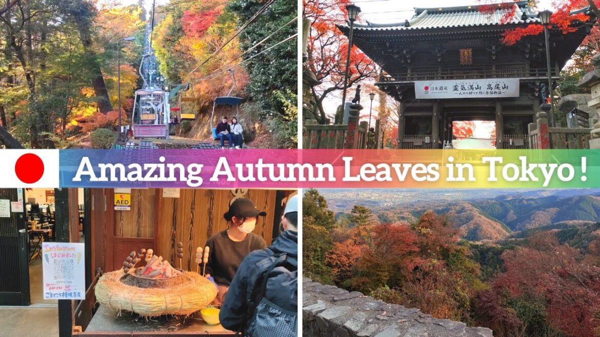 【Mount Takao | Tokyo】Let's Go Hiking & See The Amazing Autumn Leaves!