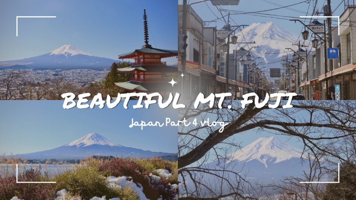 Japan Part 4: Mt. Fuji Day trip from Tokyo 🇯🇵