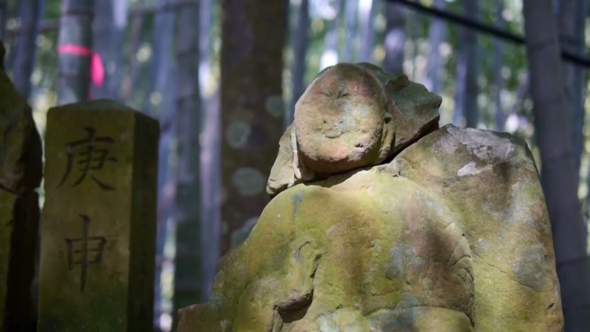 Wakayama, Mie trip montage