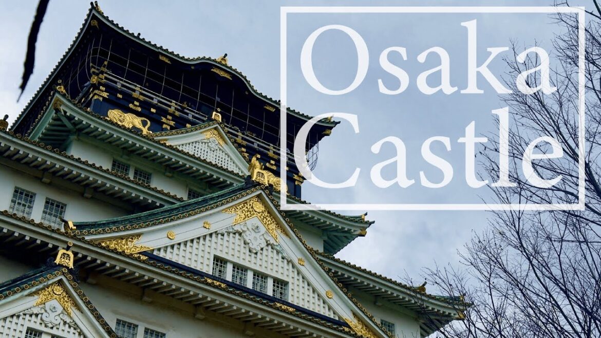 Osaka Vlog | Model Trip to feel Japanese culture | Osaka Castle & etc
