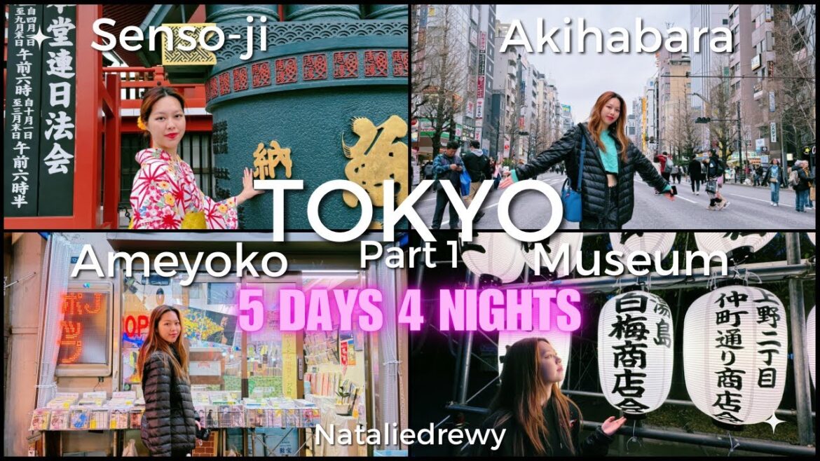 TOKYO VLOG Part 1 – Day 1 + Day 2 – THINGS TO KNOW, Ameyoko, Senso-ji, Akiharbara, Kimono, Museum TOKYO VLOG Part 1 - Day 1 + Day 2 - THINGS TO KNOW, Ameyoko, Senso-ji, Akiharbara, Kimono, Museum