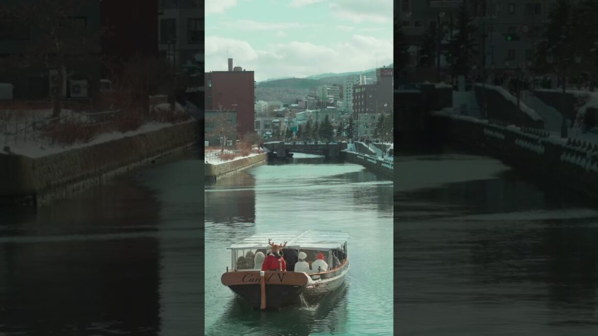 This is what makes Otaru one of the best spots to go during winter.