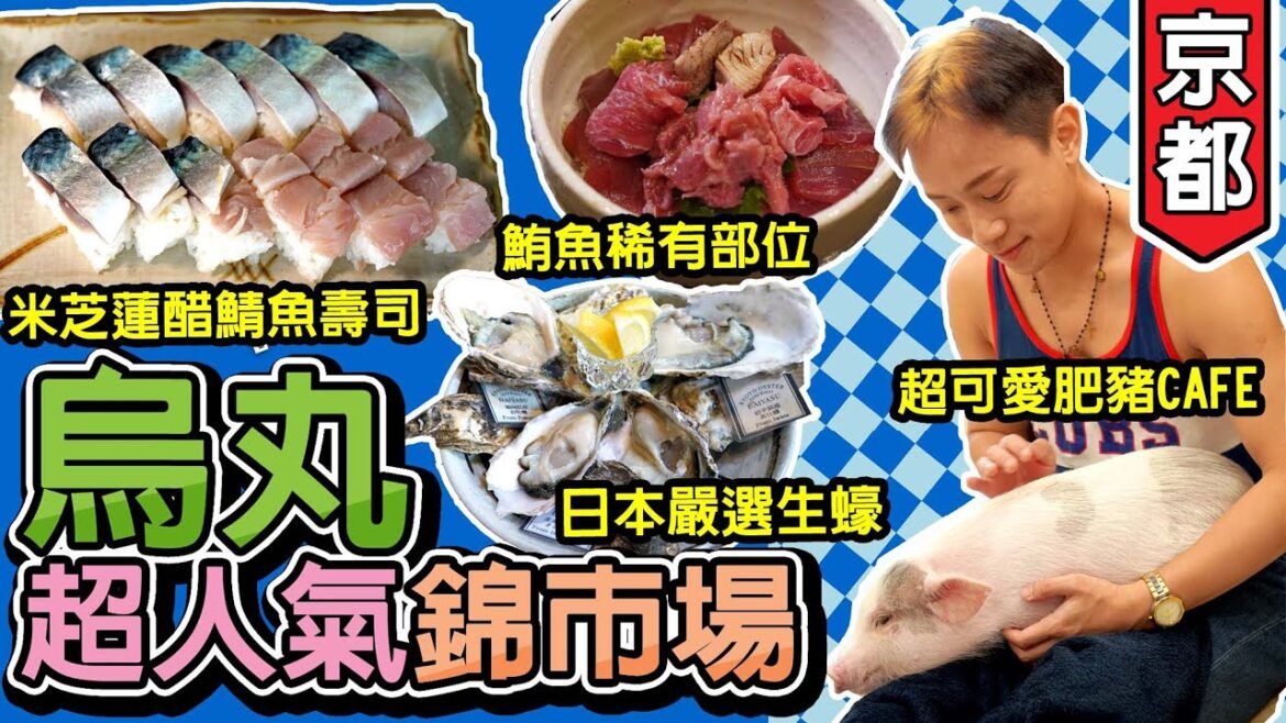 錦市場美食【日本京都03】◀︎烏丸▶︎ 精彩隱世小店 吃喝玩樂｜鮪魚稀有部位專門店｜米芝蓮醋漬魚生片壽司｜嚴選時令生蠔食店｜超可愛肥豬MIPIG CAFE ｜錦天滿宮｜超極濃綠茶雪糕｜窮遊達人4K中字