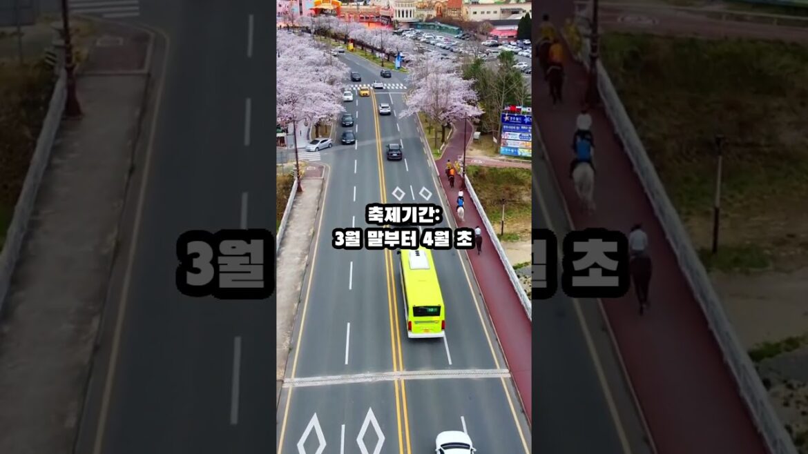 [ENG SUB]일본 고베의 숨겨진 벚꽃축제 명소 #여행 #일본