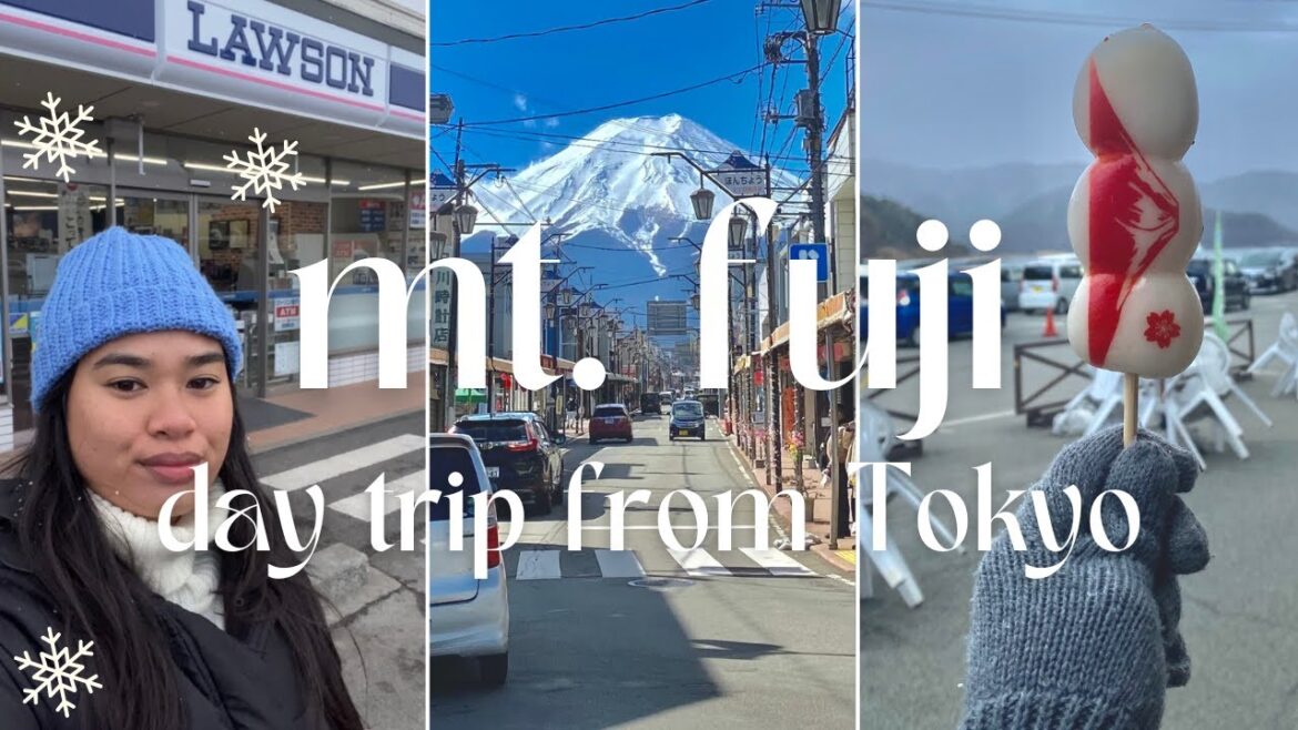 Mount Fuji Vlog 🏔️ I Day Tour from Tokyo ( it started snowing!!! ) 🌨️