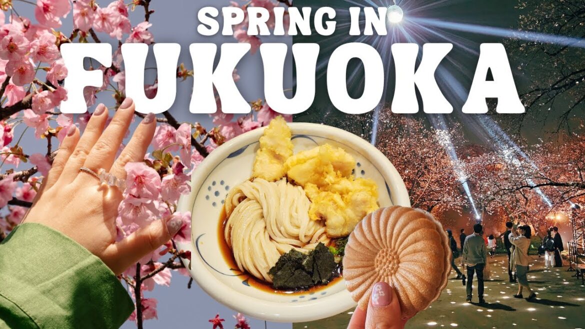 Spring in Fukuoka Vlog 🌸 Cherry Blossom Festival, Japan Travel Guide, Cafes, Things to Do 2024