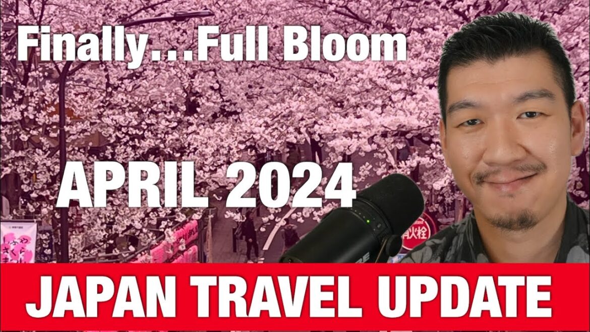 7 things to Know for Japan Trip in April 2024 Update 7 things to Know for Japan Trip in April 2024 Update