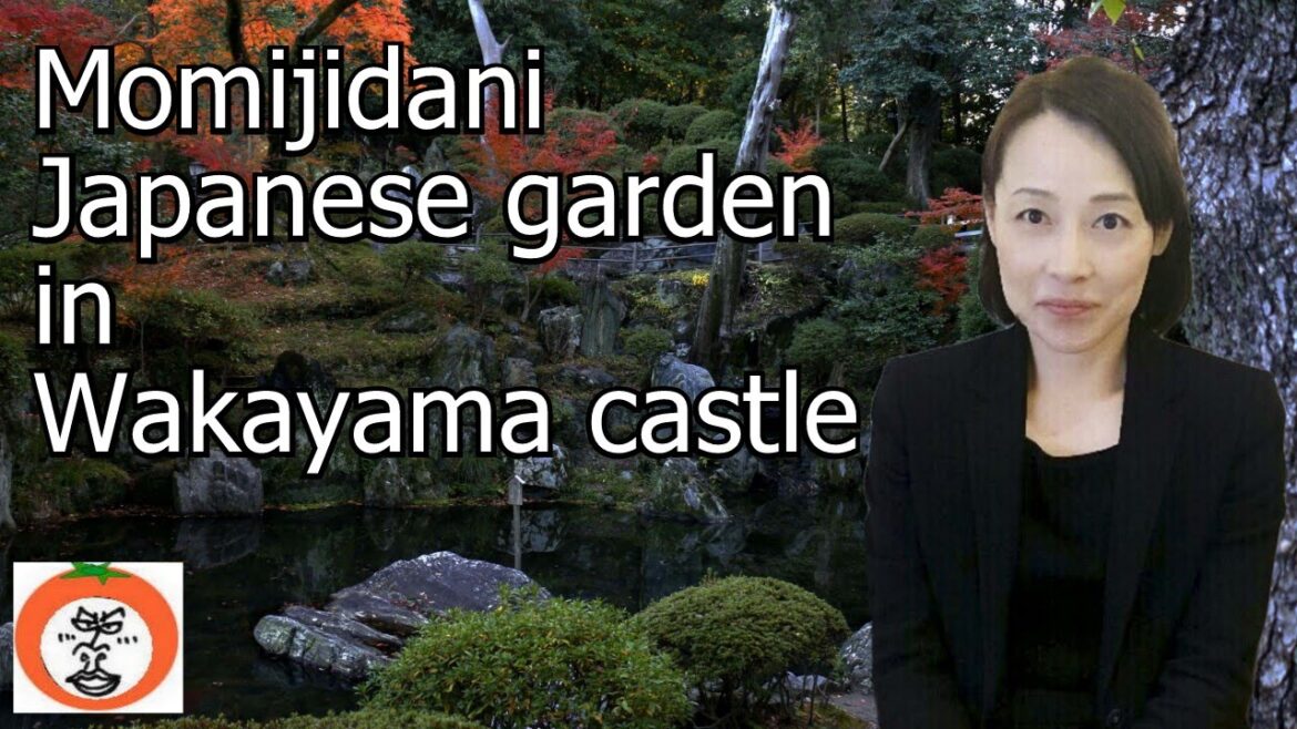 Momijidani in Wakayama castle 【 Travel Japan うろうろ和歌山 】 和歌山城 ECCジュニア英会話 西脇八幡教室