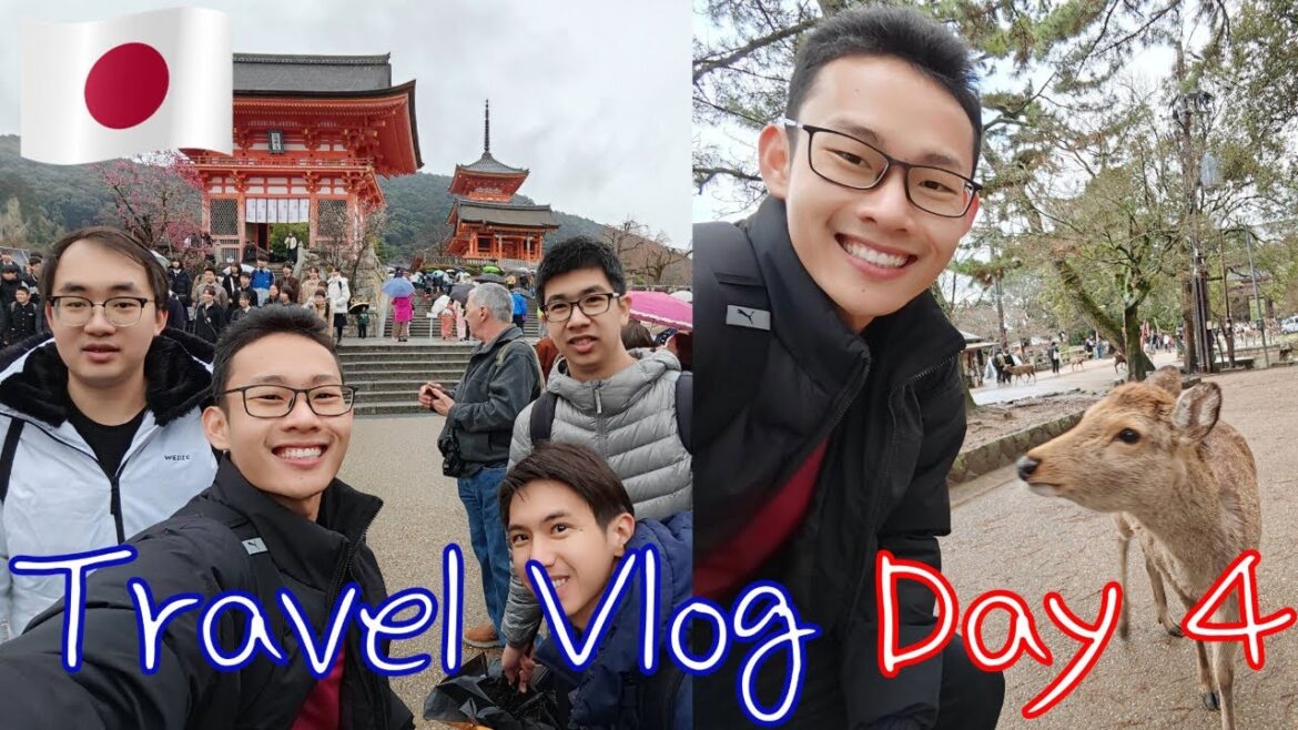 Vlog | Japan 日本 | DAY 4 | Kiyomizudera 清水寺 | Fushimi Inari Taisha 伏见稻荷大社 | Nara Park 奈良公园 | Osaka 大阪