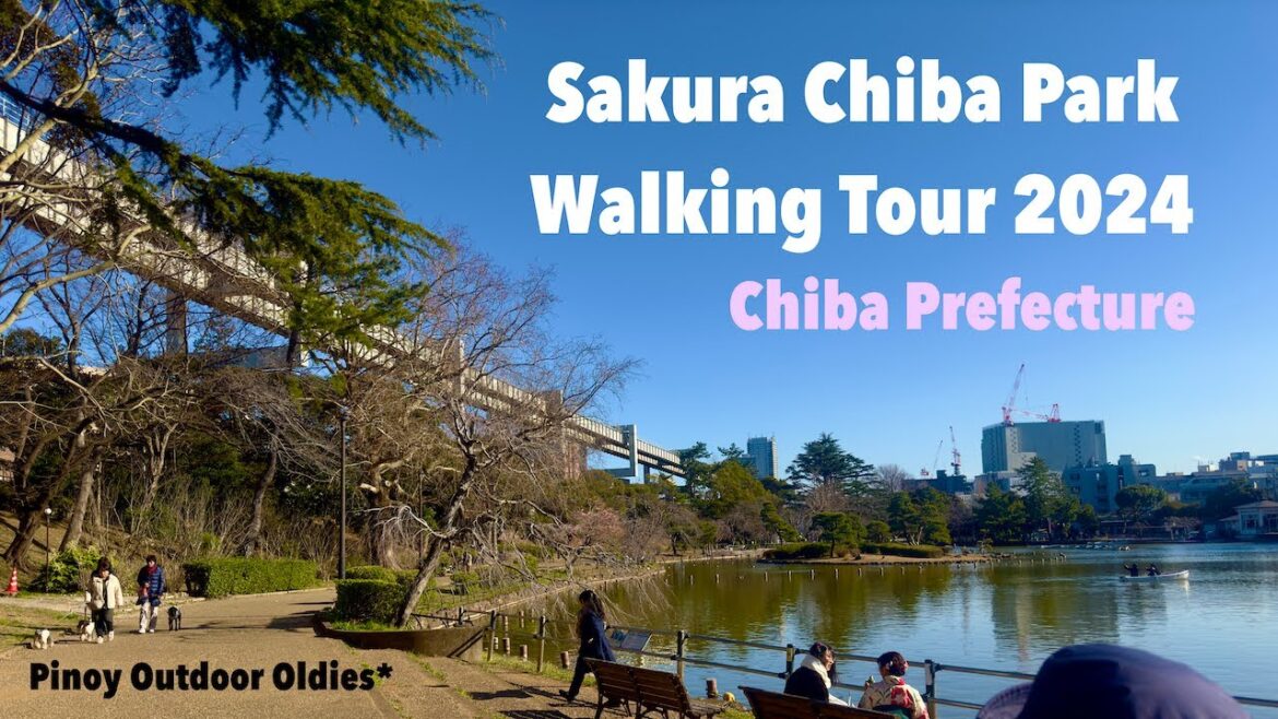 Day 3-Chiba Park Walking Tour-Sakura Hunt 2024 Day 3-Chiba Park Walking Tour-Sakura Hunt 2024