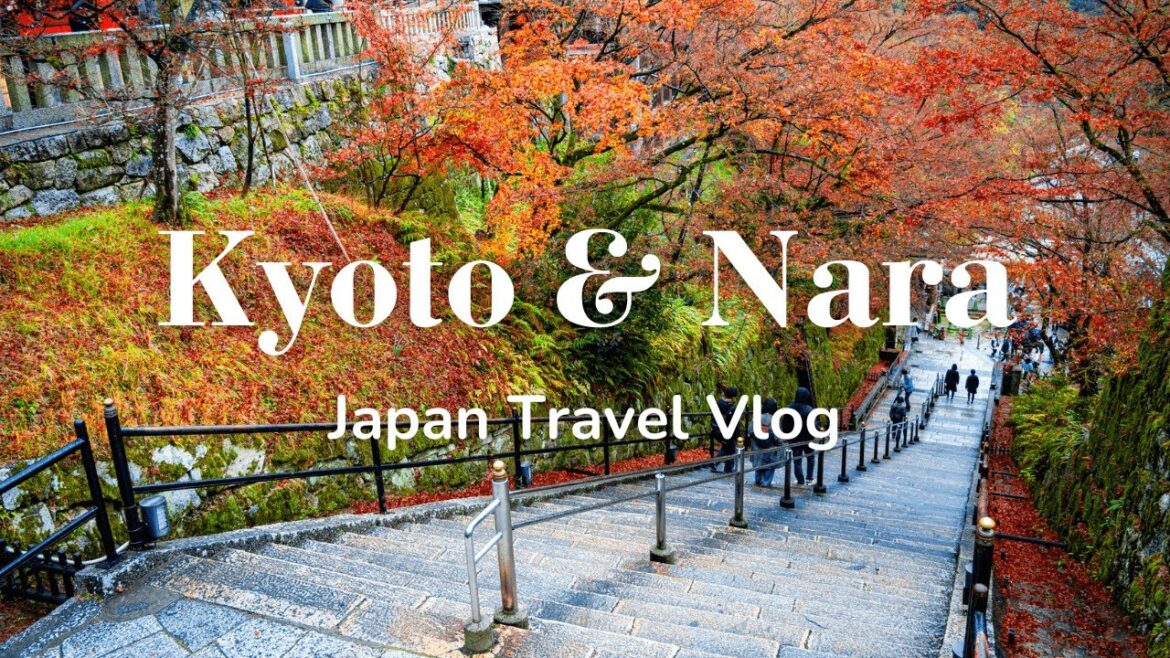 Trip to Kyoto & Nara | First Time in Japan 🇯🇵 | Travel Vlog