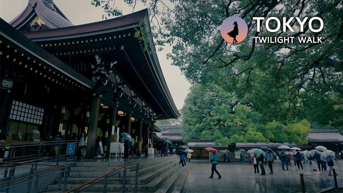 Japan, Tokyo walking tour in heavy rain | Meiji Jingu Shrine in evening [4K]