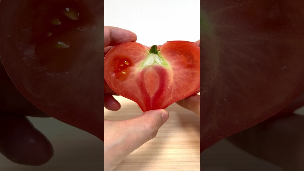 Tomato heart #shorts