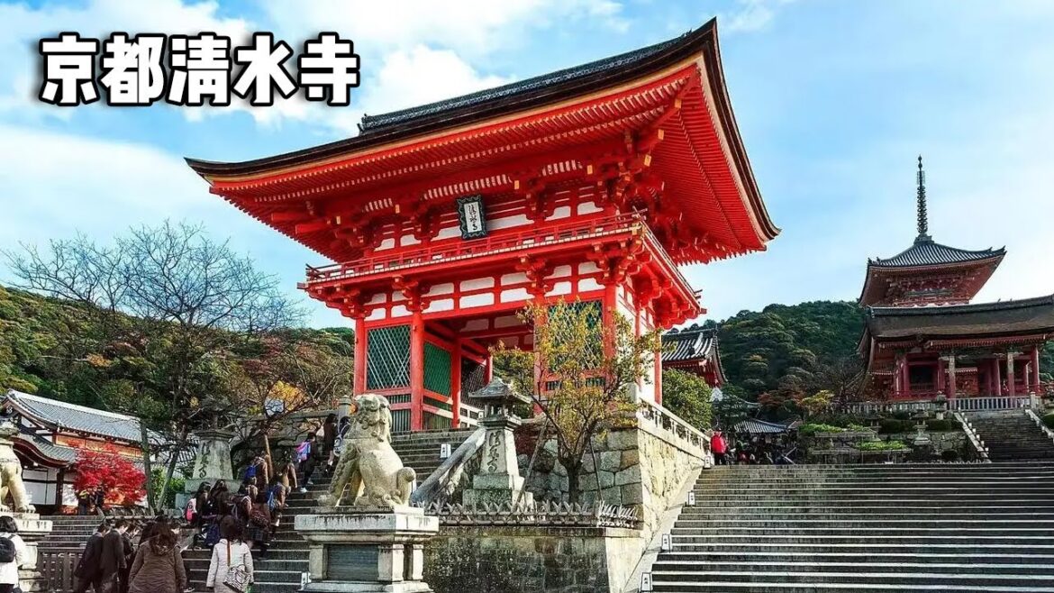 赏樱花之旅～京都清水寺，傍晚的樱花呈现蓝调，天空显得十分梦幻【行走世界的北京老刘】