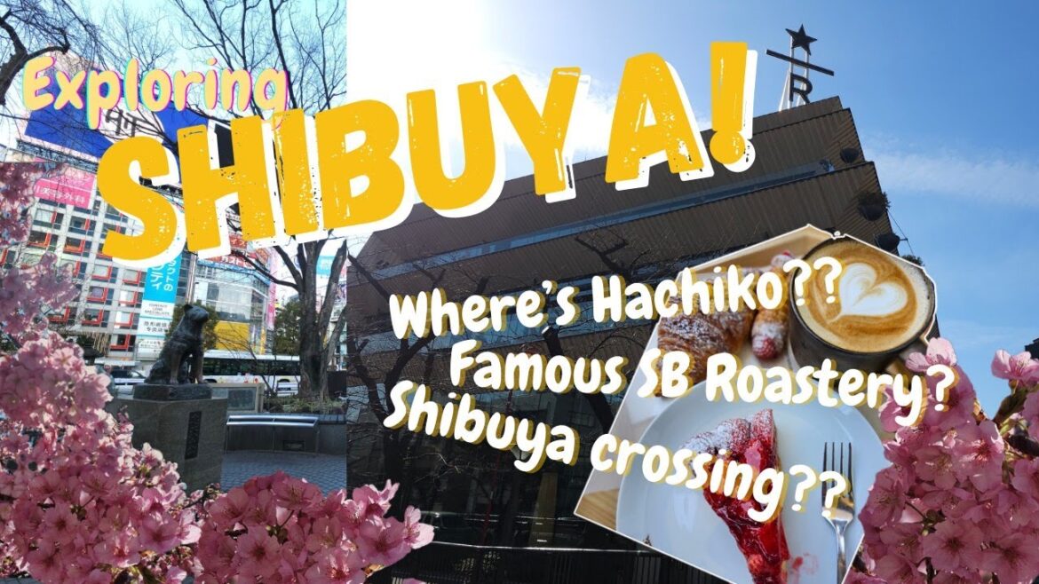 Shibuya (Hachiko, Yoshinoya, SB Roastery) - Tokyo Japan Vlog 2024