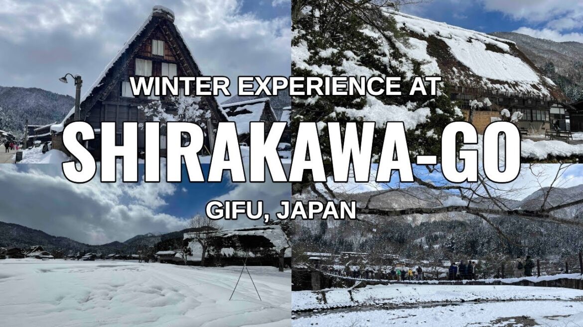 WINTER EXPERIENCE AT SHIRAKAWA-GO #shirakawago #nagoya #gifu #nagoya #TaraAnythingGoes WINTER EXPERIENCE AT SHIRAKAWA-GO #shirakawago #nagoya #gifu #nagoya #TaraAnythingGoes