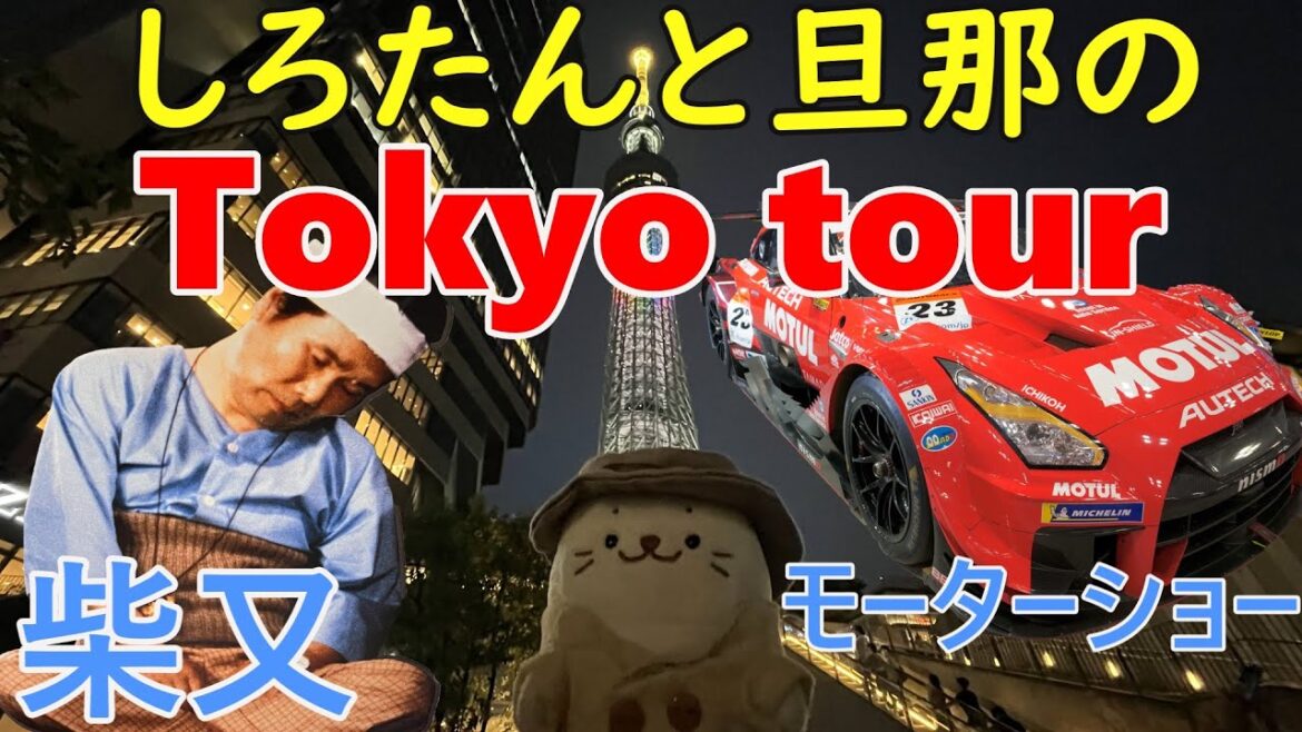 しろたんと旦那の東京観光(Tokyo Tour) しろたんと旦那の東京観光(Tokyo Tour)