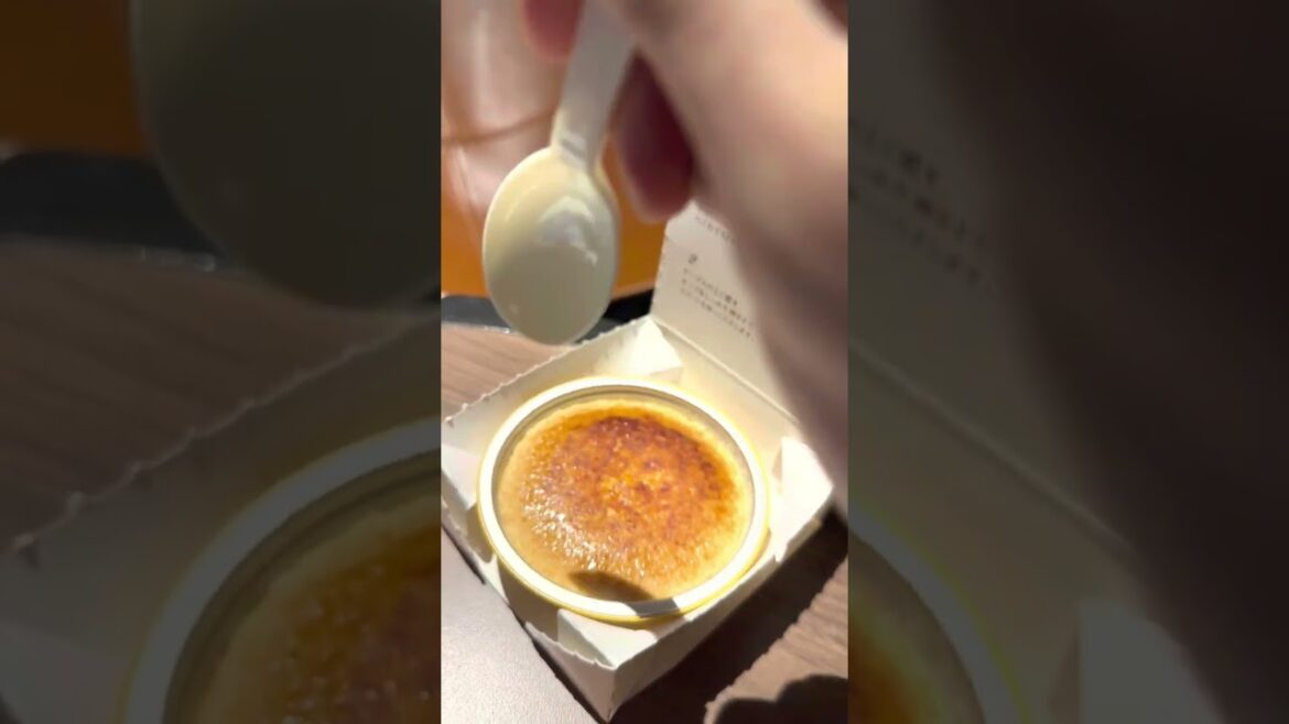 [Eatery Japan] Hokkaido trip: ICE CREAM VS SPOON