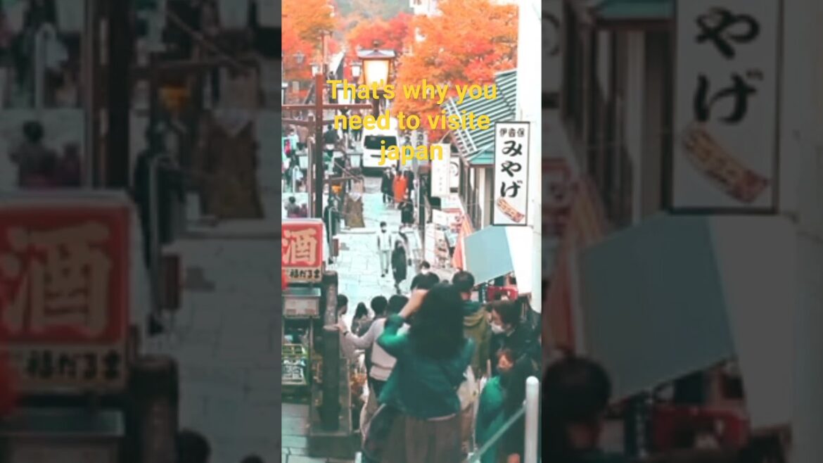 best places in japan |Travel video #japan#tokyo#hiroshima#travel#tiktok #travelvlog #traveling #nara