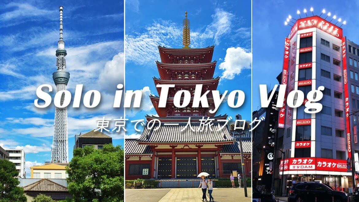 Tokyo, Japan Travel Vlog 🇯🇵 🗾 Traveling Alone | First Time Solo Trip Female 東京での一人旅ブログ 일본 도쿄 브이로그