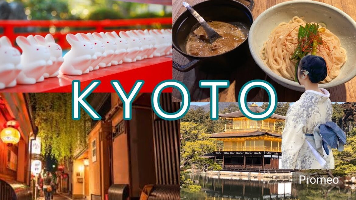 【KYOTO】1 Day Model Itinerary By Local for Begginers