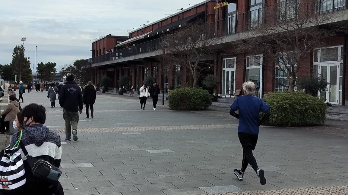 Yokohama | Japan Tour 🇯🇵