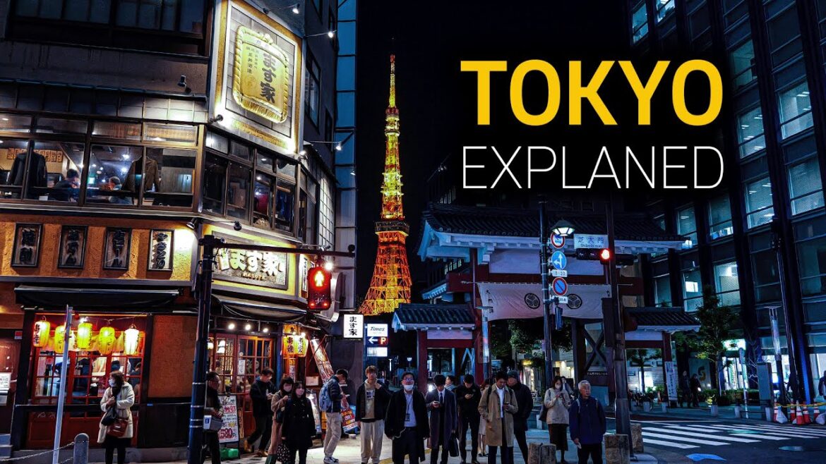 🇯🇵 How to Understand TOKYO, Japan in just 20 minutes
