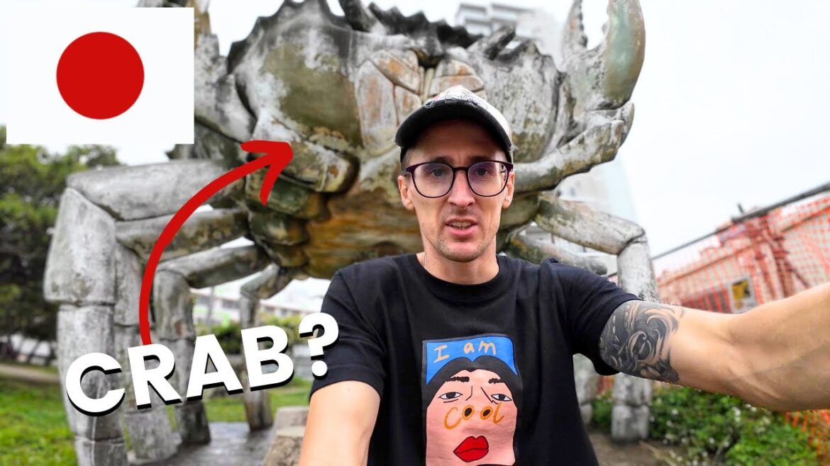 Big Island in Japan Most Don’t Know 🇯🇵