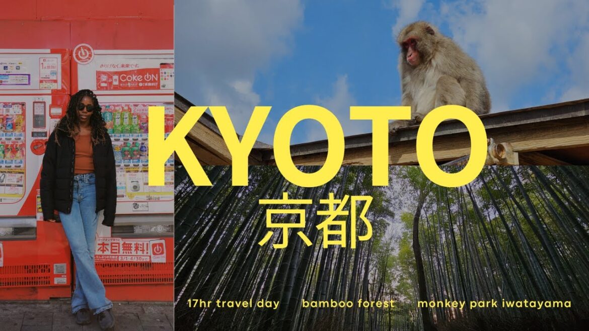 Japan Diaries | first solo trip, slow days exploring Kyoto Japan Diaries | first solo trip, slow days exploring Kyoto