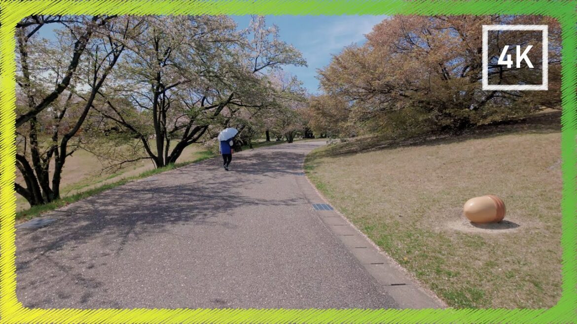 Odaka Ryokuchi Park on early spring day | Walking tour | Nagoya, Japan