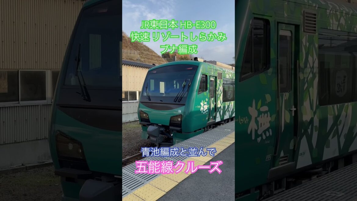 車窓 風景 JR東日本 五能線 快速 リゾートしらかみ 橅 ブナ 編成 クルーズ 青森 ー 秋田　HB-E300 槇原敬之　林檎の花 大人の休日倶楽部 my first aomori