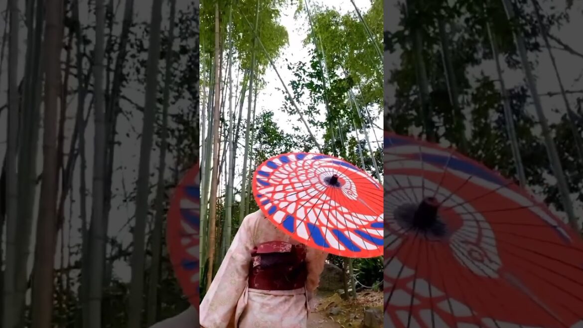 Japan Unveiled: Top 10 Destinations for 2024